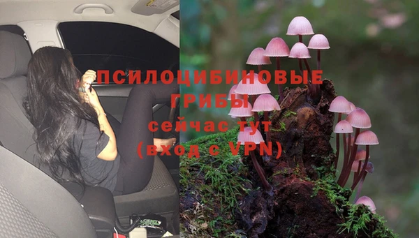 ALPHA PVP Богданович