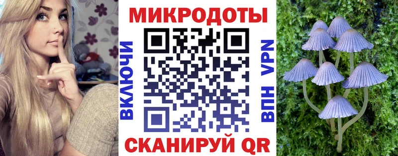 blacksprut маркетплейс  Кизилюрт  Галлюциногенные грибы мухоморы 